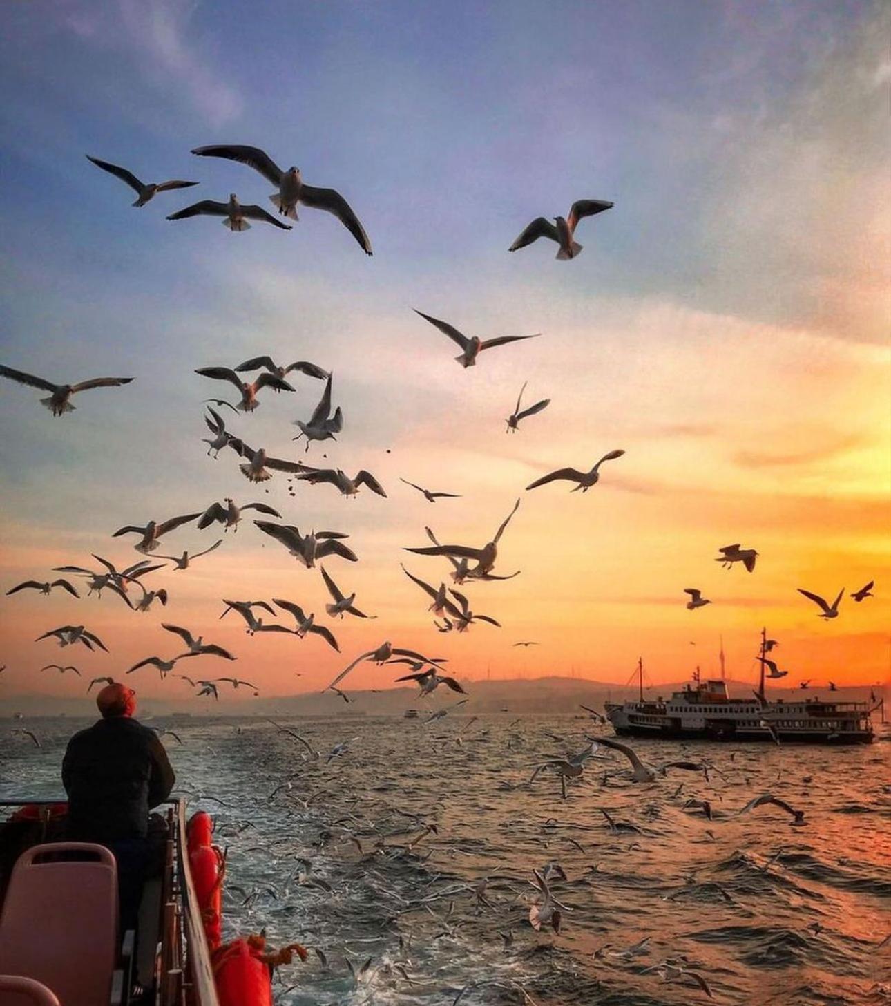 Happy Boutique 3* Provincia di Istanbul